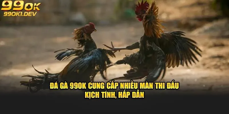 Đá Gà 99OK – Nơi Cung Cấp Những Giải Đấu Đá Gà Đỉnh Cao 2 99OK trực tiếp các trận đấu đá gà