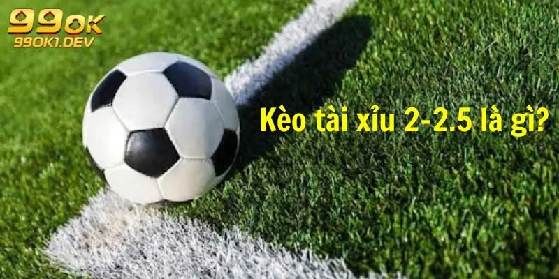 Kèo Tài Xỉu 2-2.5 Là Gì? Cách Chơi Hiệu Quả Cho Người Mới 2 Kèo tài xỉu 2-2.5 là gì?