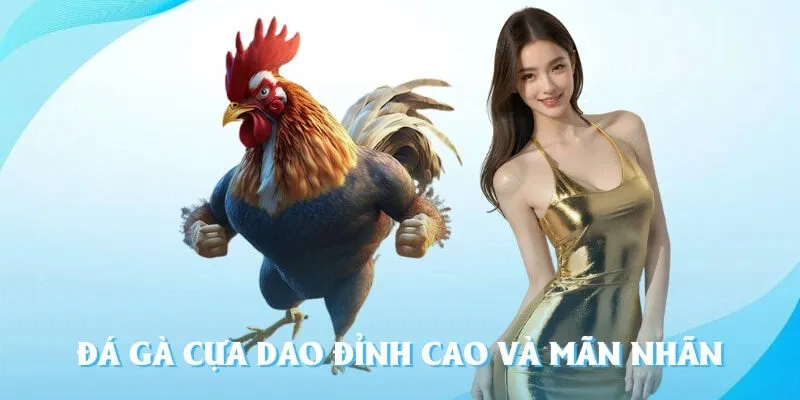 Đá Gà Cựa Dao - Trận Chiến Nảy Lửa Dành Cho Người Chơi 99OK