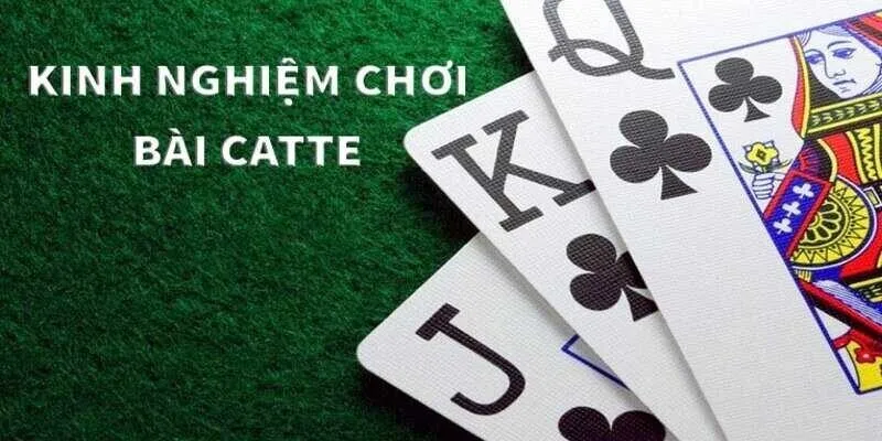 Một vài kinh nghiệm chơi Catte 99OK mang lại hiệu quả
