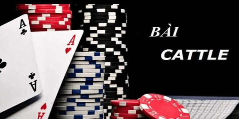 Luật Chơi Bài Catte Cho Newbie Tại Nhà Cái 99OK
