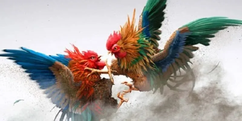 Đá gà là một bộ môn hấp dẫn có tại nhà cái 99OK