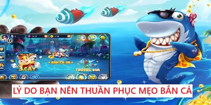 Công dụng lợi hại của việc thành thạo mẹo bắn cá