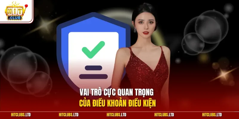 Vai trò cực quan trọng của điều khoản điều kiện